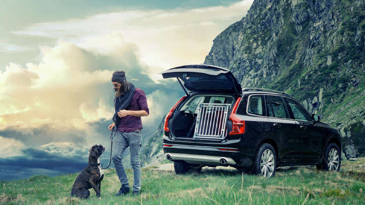 4pets Hunde-Transportbox Dog Box Pro